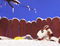 Playing in snow