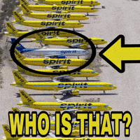 Flying Spirit Airlines GIF