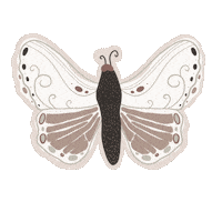 Pink Beige Sticker