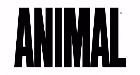 animalpak giphyupload GIF