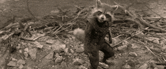 guardians of the galaxy marvel GIF by Disney