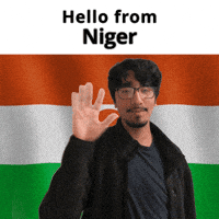 Ne Niger GIF