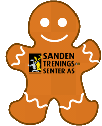 Sandengrafikk5 Sticker by Sanden Treningssenter