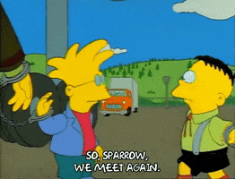 Season 1 Adil Hoxha GIF by The Simpsons