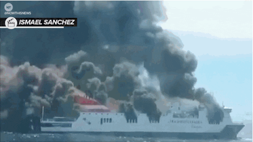 spanish government news GIF by NowThis 