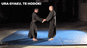 martial arts mma GIF by AKBAN Academy