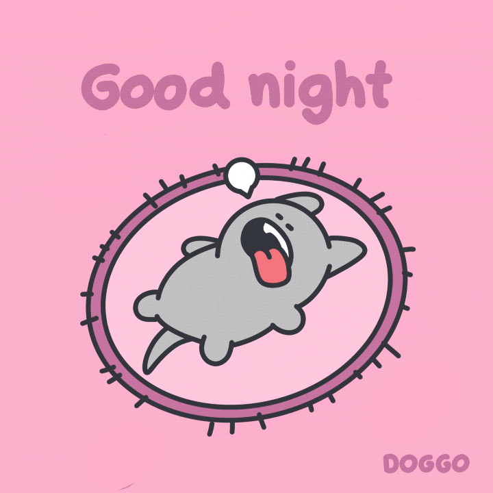 toffersdoggo giphyupload dog night sleep GIF