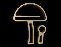 Starkgreyevents sge starkgreyevents GIF