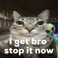 alurchap i get bro stop it now GIF