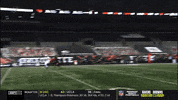 gostanford  GIF