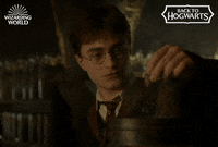 School Cooking GIF by Harry Potter