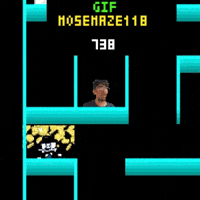 Maze 118 Mose GIF