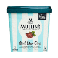 mullins_icecream ice cream dessert milk ireland Sticker
