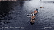 Thebridgeaugroup GIF by The Bridge Australia