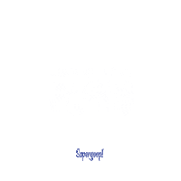Fun Summer Sticker by Supergoop!