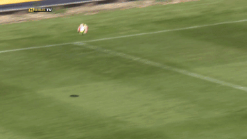 michigan soccer francis atuahene GIF by Michigan Athletics