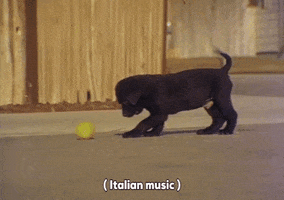 dog puppy GIF by South Park 