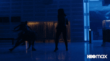 Barbara Gordon Fight GIF by HBO Max