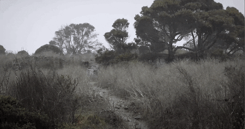 Music Video Rock GIF by Pure Noise Records