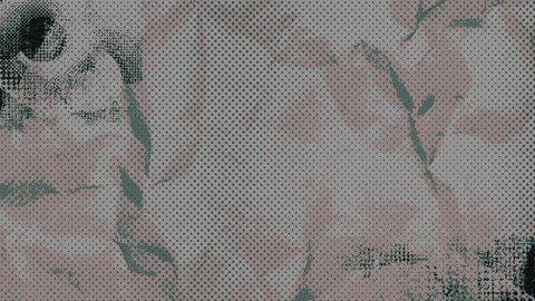 Tash_Hill giphyupload GIF