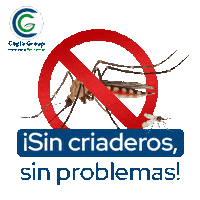 Mosquito Sticker by copla group