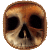 One Piece Pirates Sticker by NETFLIX