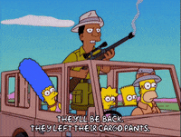 homer simpson GIF