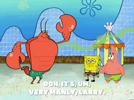season 5 episode 6 GIF by SpongeBob SquarePants