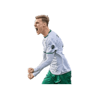 Sport Heerlen Sticker by Groene ster