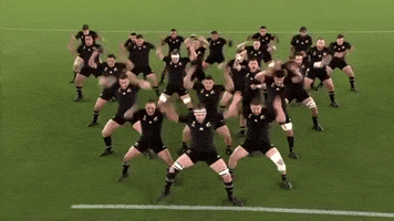 Read World Cup GIF by World Rugby