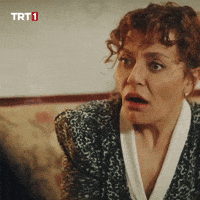 Shocked Astonishment GIF by TRT