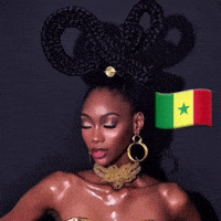 Diarry senegal sénégal camilladiagne misssenegal GIF