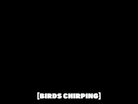 season 6 squid's visit GIF by SpongeBob SquarePants