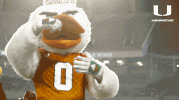 GIF by Miami Hurricanes