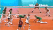 Jump Celebrate GIF by Volleyball World