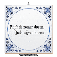 Humor Zon Sticker by Tegelspreuken.nl
