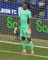 West Brom Wba GIF by West Bromwich Albion