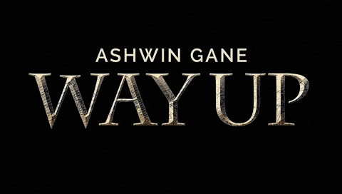 Black Friday Television GIF by Ashwin Gane