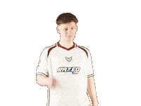 Chr1Zn Sticker by HEROIC