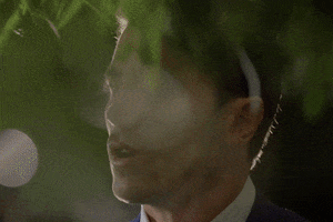 thebachelorau the bachelor au the bachelor australia GIF