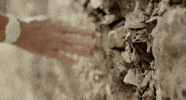 touching jeremiah tower GIF by The Orchard Films