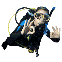 Scuba Diving Sticker by Adrenospearfishing