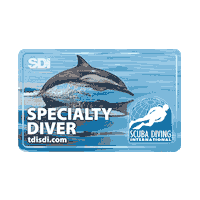 Logo Water Sticker by Scuba Diving International