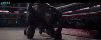 creed 2 GIF by G1ft3d