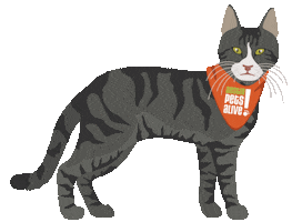 Adopt Me Tabby Cat Sticker by Merrick Pet Care