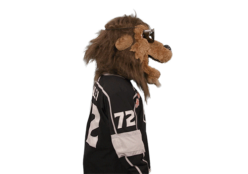 Ice Hockey Sticker by NHL