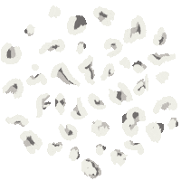 Design Leo Sticker by Fidella