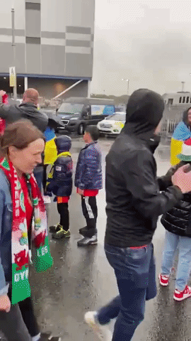 Welsh And Ukrainian Fans Embrace Each Other