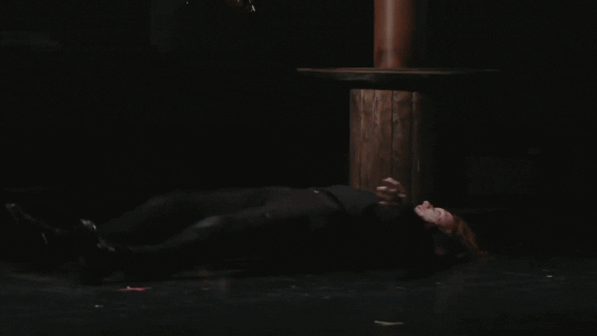 Theatre Teatro GIF by Temporada Alta