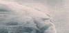 review GIF by RADiUS